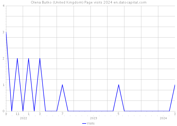 Olena Butko (United Kingdom) Page visits 2024 