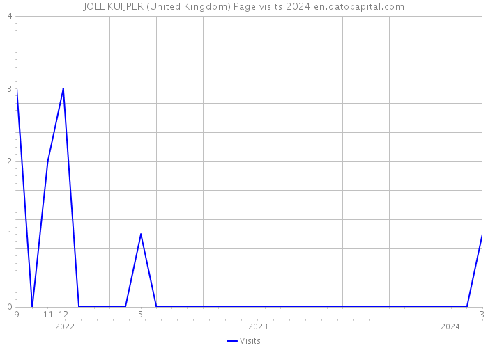 JOEL KUIJPER (United Kingdom) Page visits 2024 