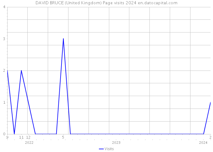 DAVID BRUCE (United Kingdom) Page visits 2024 