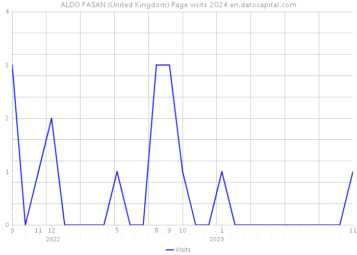 ALDO FASAN (United Kingdom) Page visits 2024 