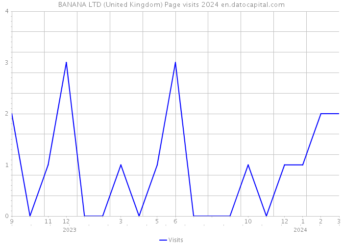 BANANA LTD (United Kingdom) Page visits 2024 