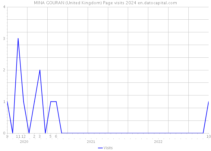 MINA GOURAN (United Kingdom) Page visits 2024 
