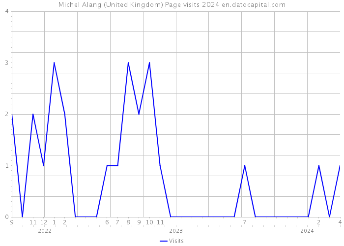 Michel Alang (United Kingdom) Page visits 2024 