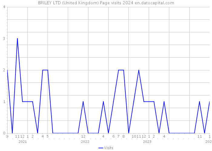 BRILEY LTD (United Kingdom) Page visits 2024 