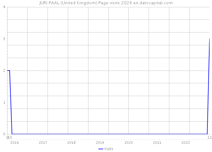 JURI PAAL (United Kingdom) Page visits 2024 