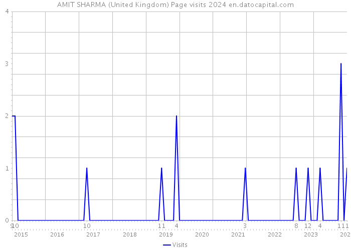 AMIT SHARMA (United Kingdom) Page visits 2024 