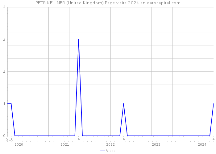 PETR KELLNER (United Kingdom) Page visits 2024 