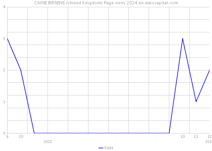CAINE BIRSENS (United Kingdom) Page visits 2024 