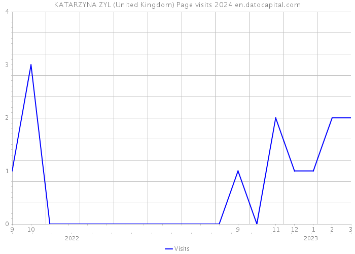 KATARZYNA ZYL (United Kingdom) Page visits 2024 