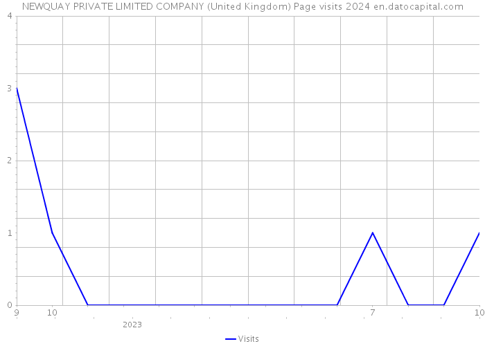 NEWQUAY PRIVATE LIMITED COMPANY (United Kingdom) Page visits 2024 