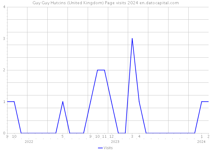 Guy Guy Hutcins (United Kingdom) Page visits 2024 