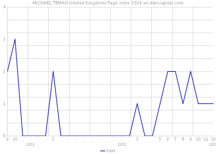 MICHAEL TEMAN (United Kingdom) Page visits 2024 