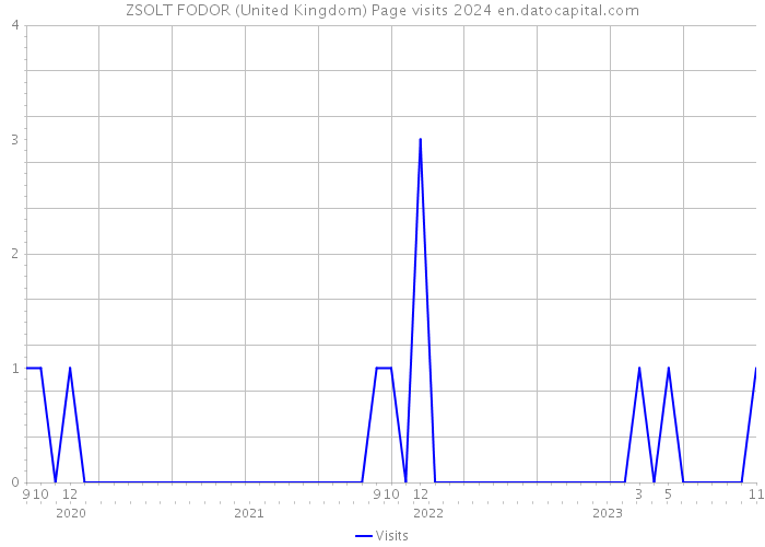 ZSOLT FODOR (United Kingdom) Page visits 2024 