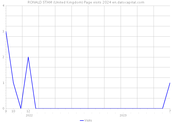 RONALD STAM (United Kingdom) Page visits 2024 
