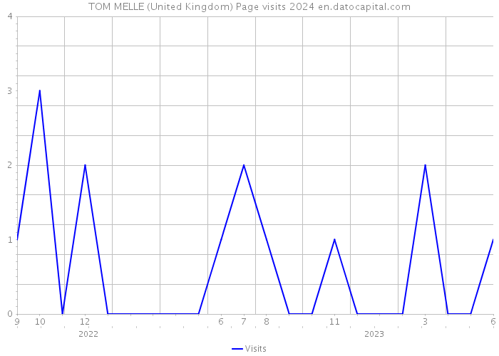 TOM MELLE (United Kingdom) Page visits 2024 
