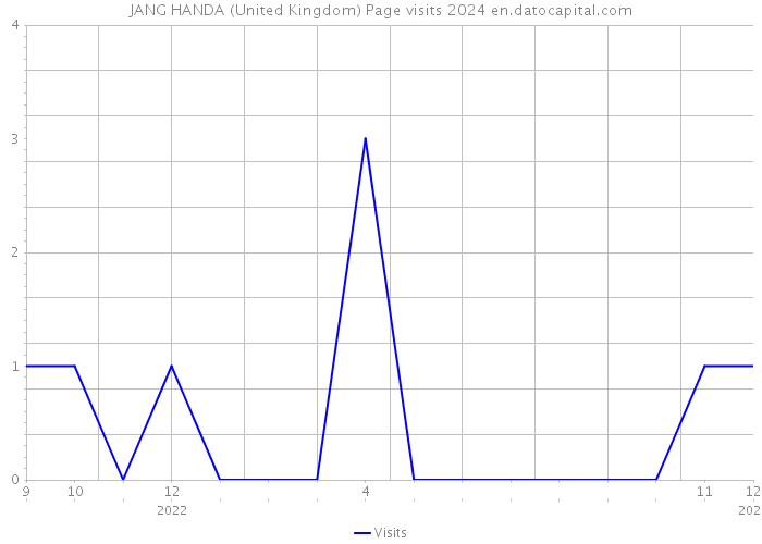 JANG HANDA (United Kingdom) Page visits 2024 