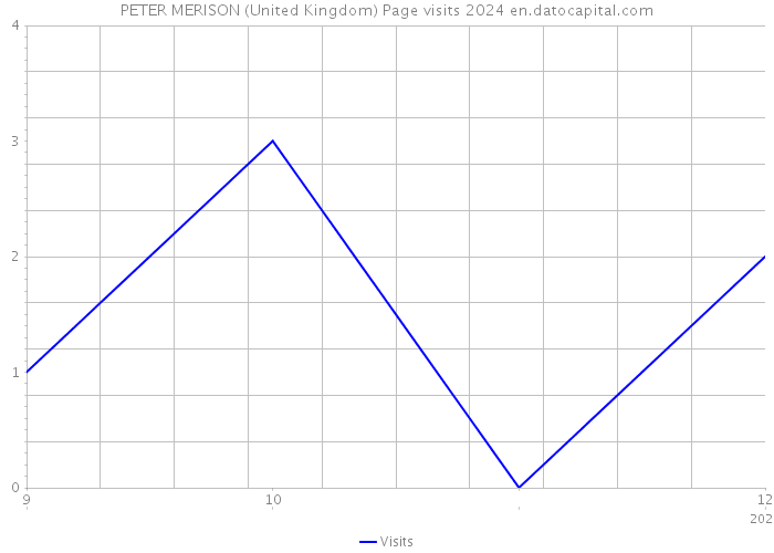 PETER MERISON (United Kingdom) Page visits 2024 