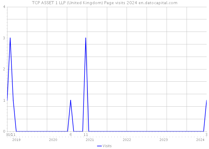 TCP ASSET 1 LLP (United Kingdom) Page visits 2024 