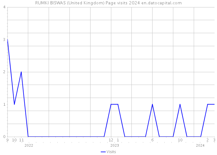 RUMKI BISWAS (United Kingdom) Page visits 2024 