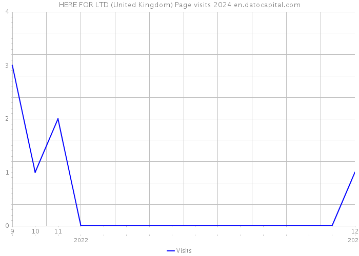 HERE FOR LTD (United Kingdom) Page visits 2024 