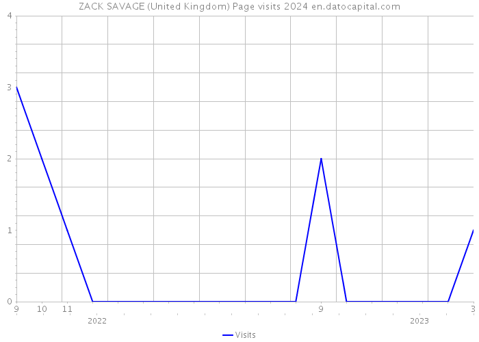 ZACK SAVAGE (United Kingdom) Page visits 2024 
