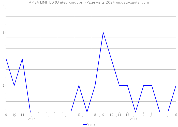 AMSA LIMITED (United Kingdom) Page visits 2024 