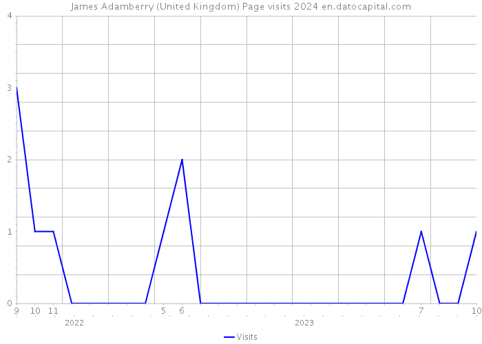 James Adamberry (United Kingdom) Page visits 2024 