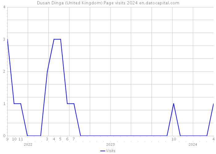 Dusan Dinga (United Kingdom) Page visits 2024 