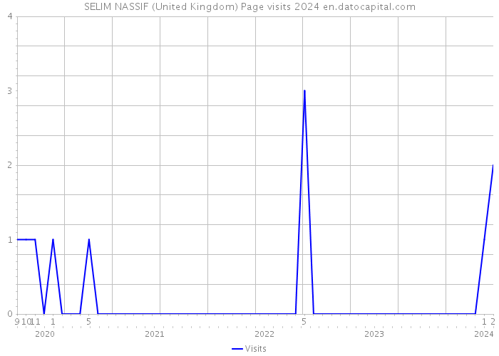 SELIM NASSIF (United Kingdom) Page visits 2024 