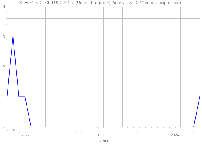 STEVEN VICTOR LUCCIARINI (United Kingdom) Page visits 2024 