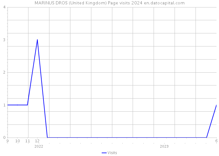 MARINUS DROS (United Kingdom) Page visits 2024 