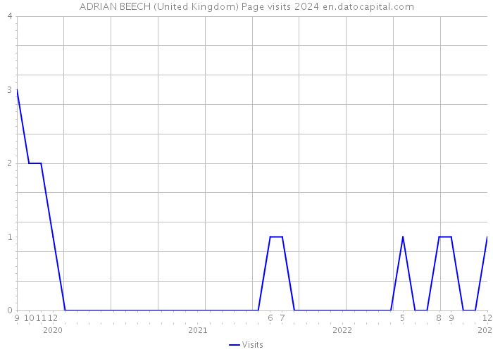 ADRIAN BEECH (United Kingdom) Page visits 2024 