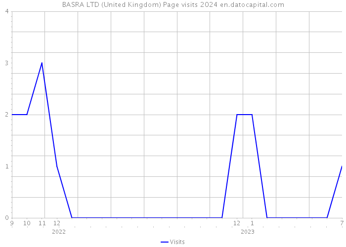 BASRA LTD (United Kingdom) Page visits 2024 