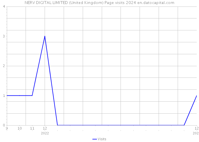 NERV DIGITAL LIMITED (United Kingdom) Page visits 2024 