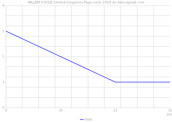 WILLEM KOOLE (United Kingdom) Page visits 2024 