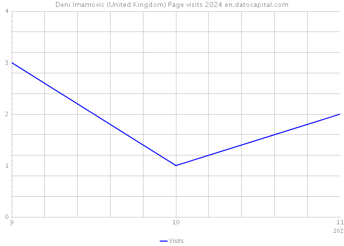 Deni Imamovic (United Kingdom) Page visits 2024 