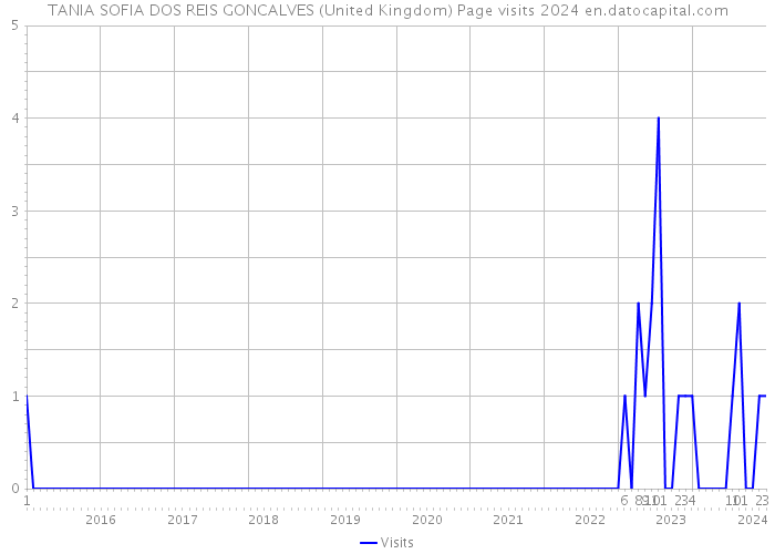 TANIA SOFIA DOS REIS GONCALVES (United Kingdom) Page visits 2024 
