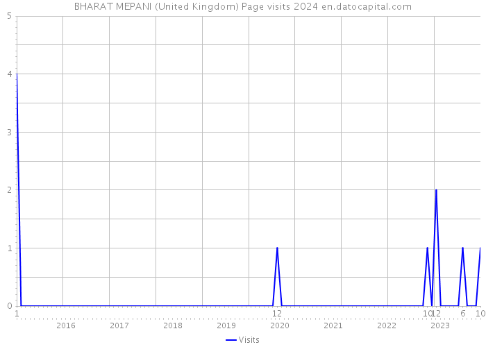 BHARAT MEPANI (United Kingdom) Page visits 2024 