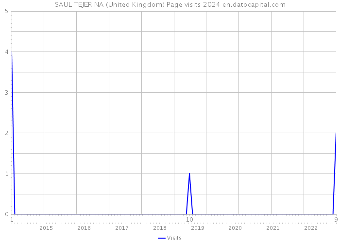 SAUL TEJERINA (United Kingdom) Page visits 2024 