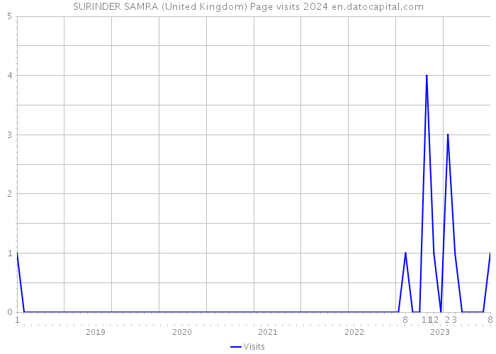 SURINDER SAMRA (United Kingdom) Page visits 2024 