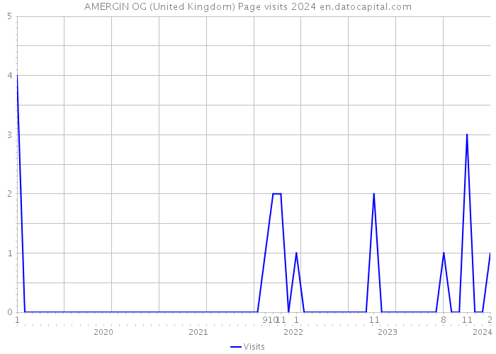 AMERGIN OG (United Kingdom) Page visits 2024 