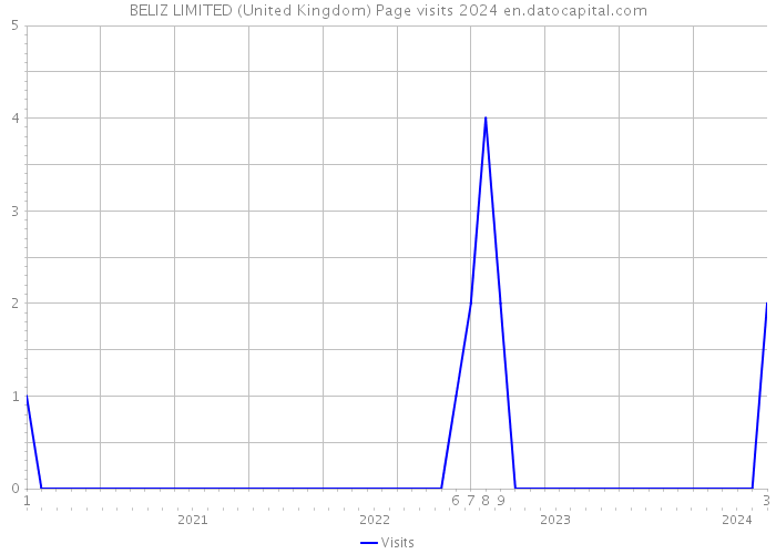BELIZ LIMITED (United Kingdom) Page visits 2024 