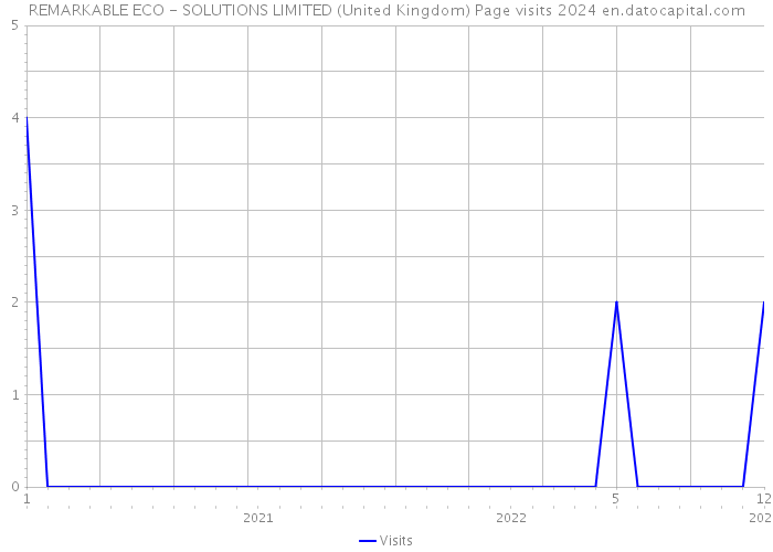 REMARKABLE ECO - SOLUTIONS LIMITED (United Kingdom) Page visits 2024 