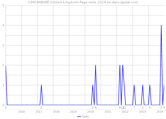 KAM BABAEE (United Kingdom) Page visits 2024 