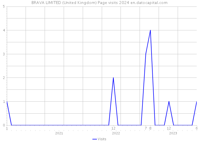BRAVA LIMITED (United Kingdom) Page visits 2024 
