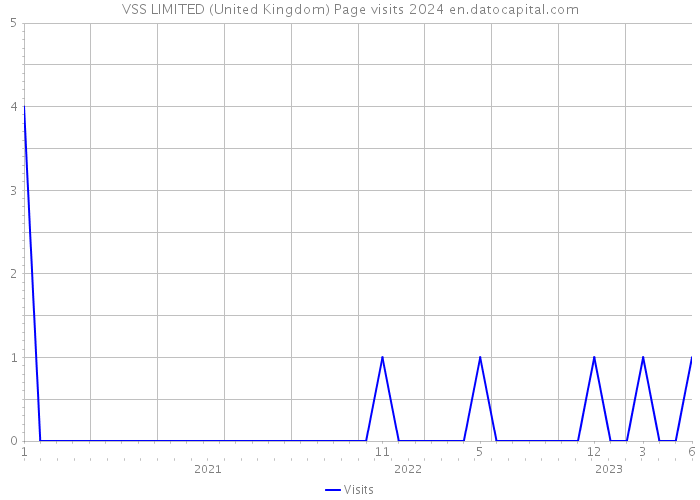 VSS LIMITED (United Kingdom) Page visits 2024 