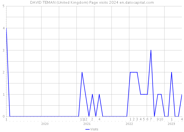 DAVID TEMAN (United Kingdom) Page visits 2024 