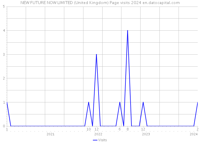 NEW FUTURE NOW LIMITED (United Kingdom) Page visits 2024 