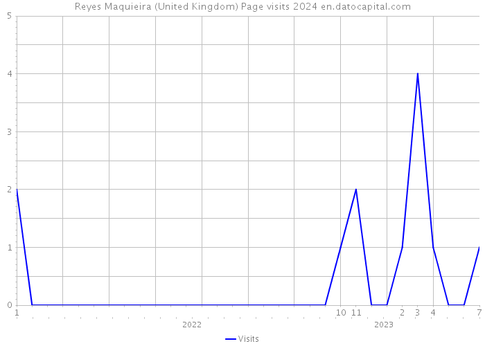 Reyes Maquieira (United Kingdom) Page visits 2024 