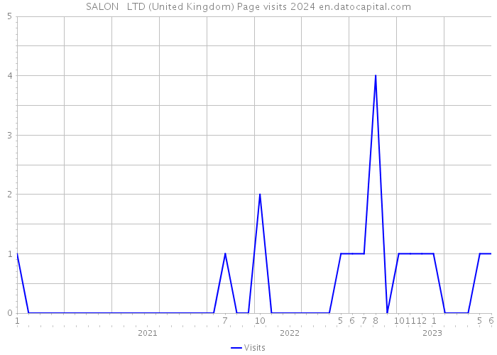 SALON + LTD (United Kingdom) Page visits 2024 